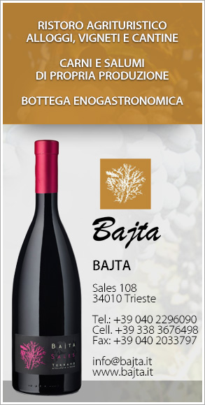 Bajta